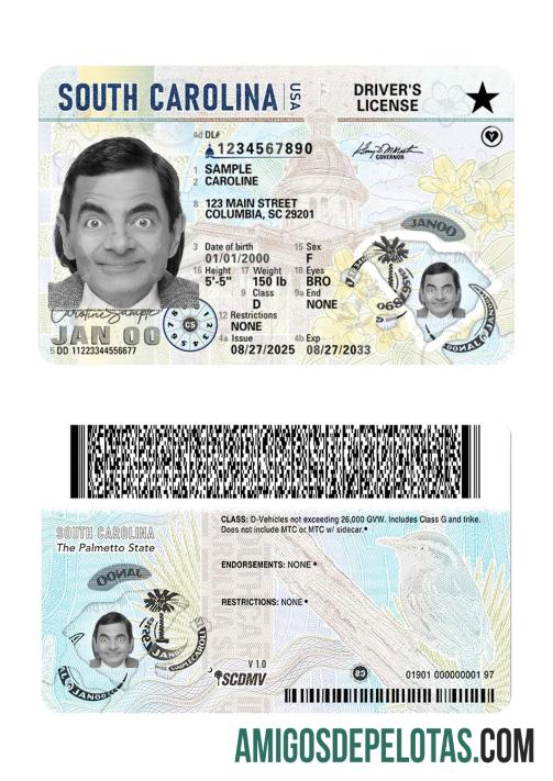 Carta de condução dos EUA na Carolina do Sul 2025 presente exemplo